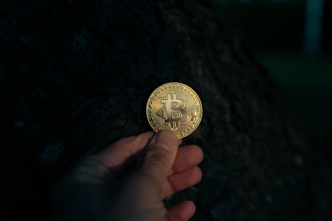 The Quiet Power of HODLing Builds Wealth Over Years